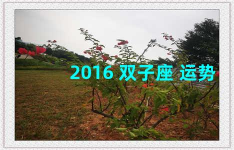 2016 双子座 运势